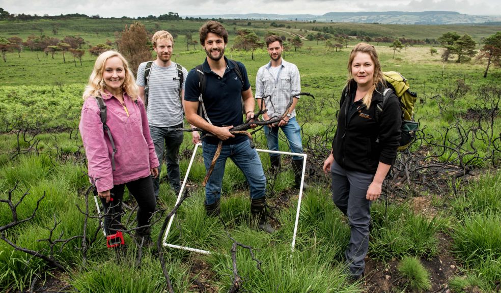 Clinton Devon Estate’s Pebblebed Heaths Site Manager, Kim Strawbridge (far right) with the University team L-R Prof Claire Belcher, Mark Grosvenor, Matthew Jones and Nicholas Walding.