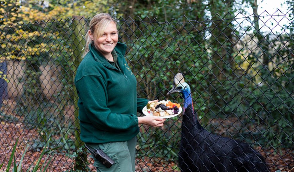 Christmas dinners with a difference…