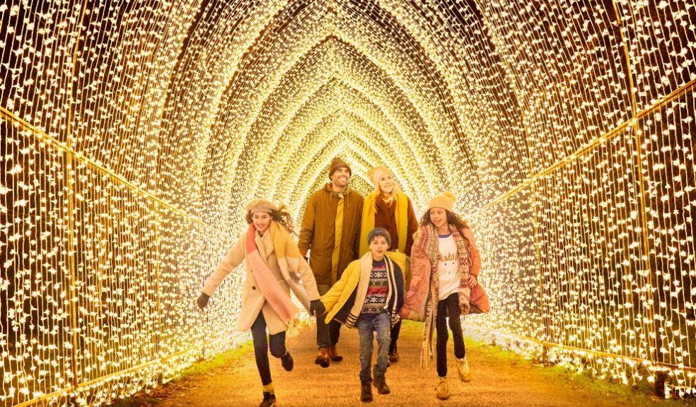 Cathedral of Light by Mandylights, My Christmas Trails 2020. Photo by Richard Haughton © Sony Music