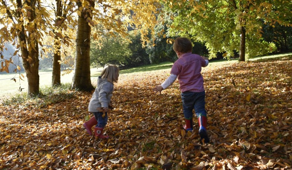 Children playing in Autumn leaves at Killerton, Devon ©National Trust Images, Emma Wakeham