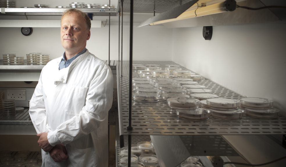 Professor Chris Thornton