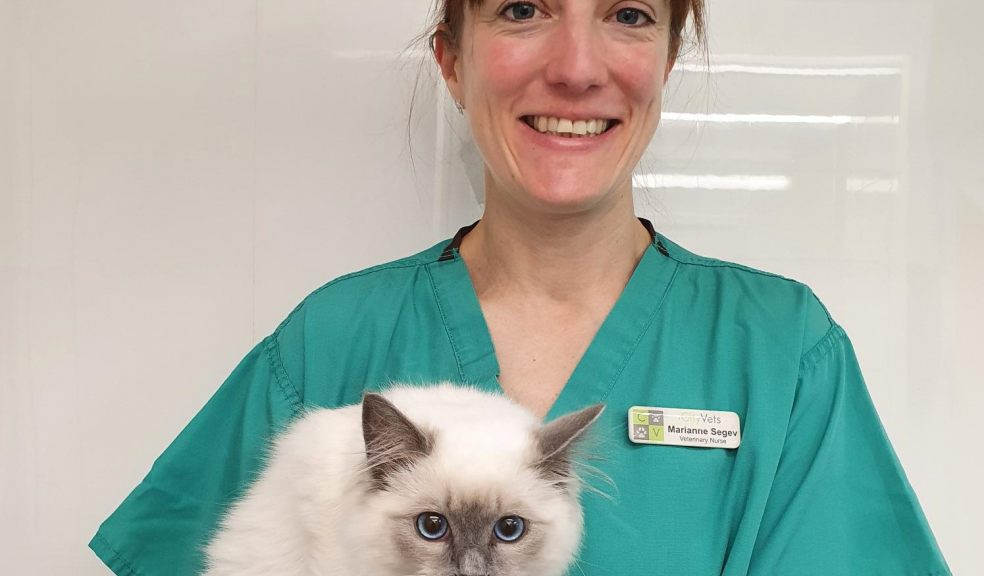 Vet nurse Marianne Segev, cat advocate at City Vets in Exeter
