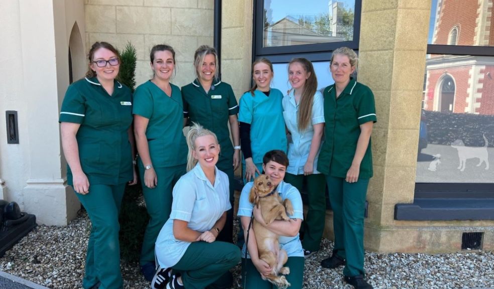 City Vets Heavitree Hospital is holding an open day on Saturday, June 17.