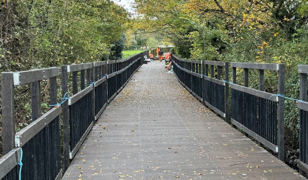Courtlands Boardwalk replacement