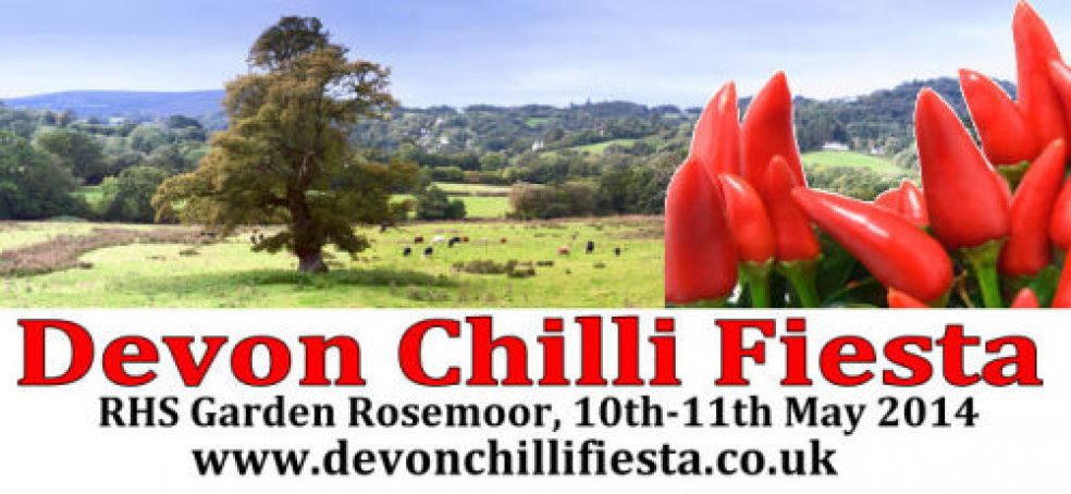 Devon Chilli Fiesta