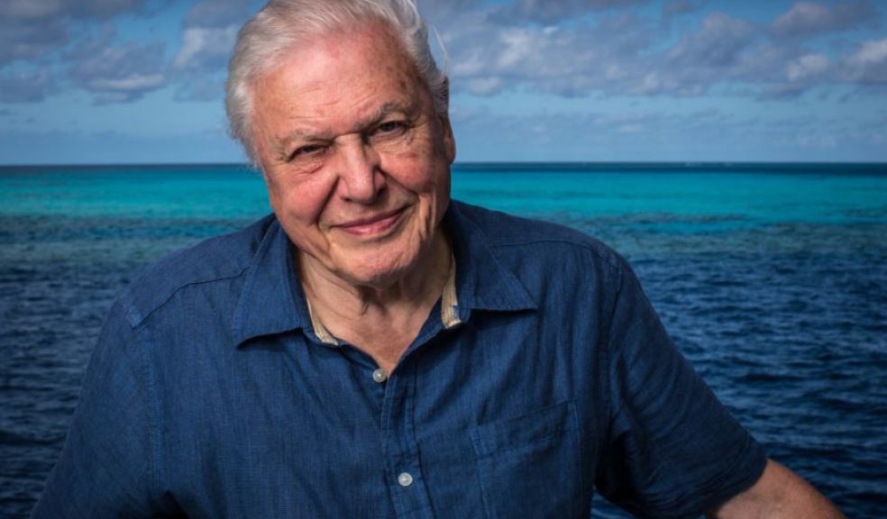 David Attenborough on the Great Barrier Reef. Image: Atlantic Productions