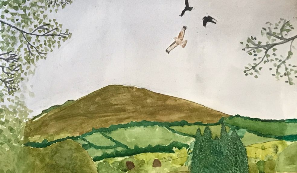 Devon CPRE Young Landscape Artist competition 2021, Winner: Matilda Baker (younger age group).