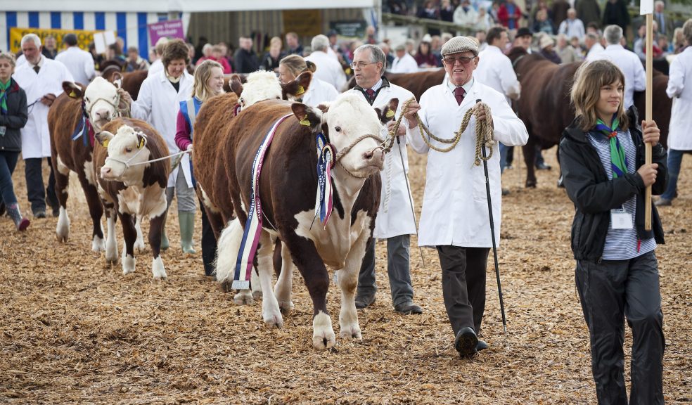 Devon county show parade 2014. Photo: Geoff Pagotto.