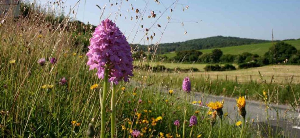 Photo: Devon County Council Photo: Devon County Council