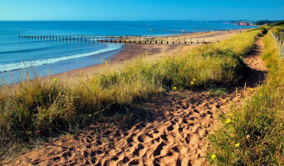 Devon, Hiking Trail, Beach