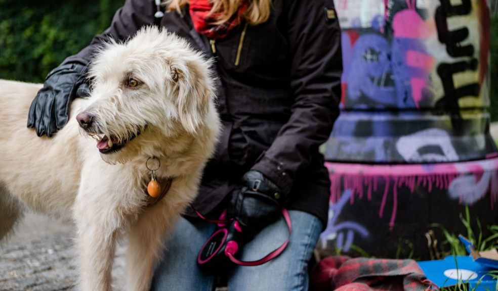 Dogs Trust's Christmas Parcel Service is sending out gifts to over 300 homelessness services this winter. Photo: Dogs Trust.