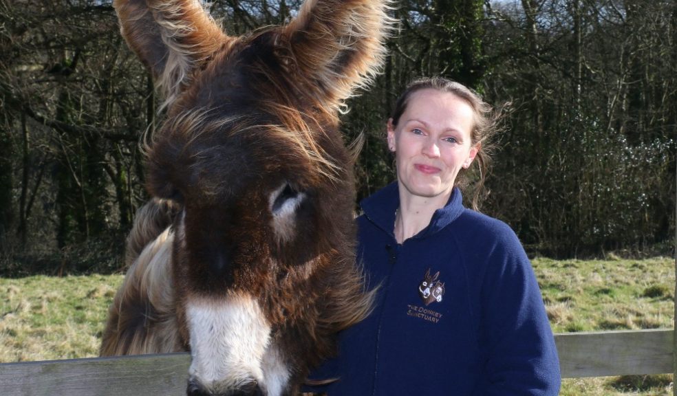 Dr Faith Burden - Director of Research and Operational Support - The Donkey Sanctuary
