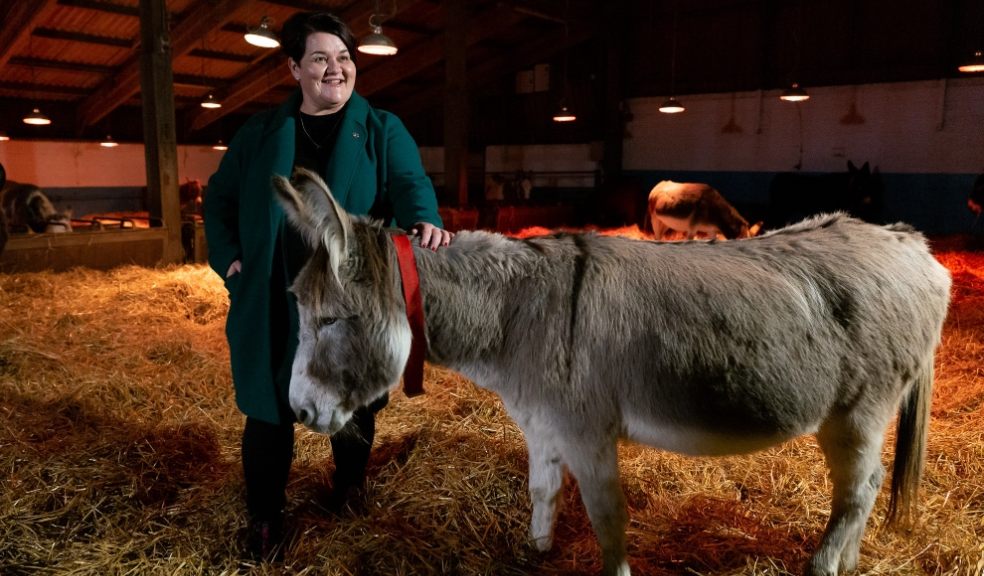 Emma Britton at The Donkey Sanctuary