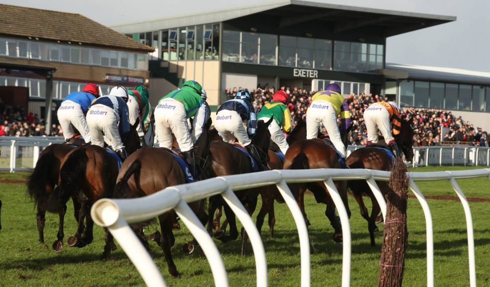 New Year’s Day at Exeter Racecourse is one of our county’s finest sporting occasions and it’s a day not to be missed.