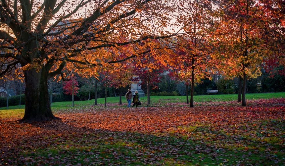 Northernhay Gardens in Exeter. Photo: Alison Day via Flickr Holidu