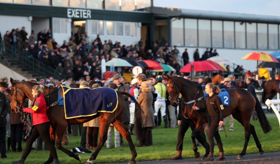 horses, racing, Exeter Racecourse