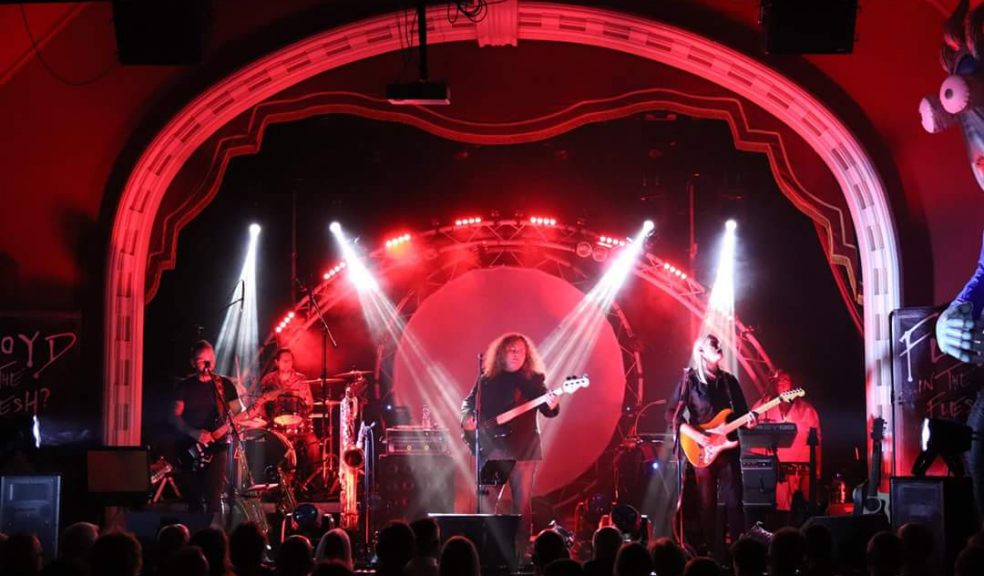 Live Pink Floyd Tribute Show - "Floyd in the Flesh" | The Exeter Daily