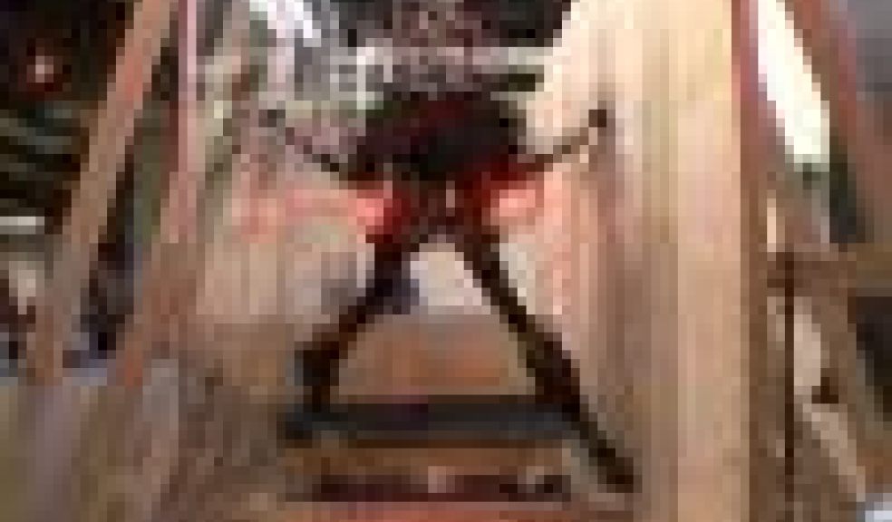DARP Robot