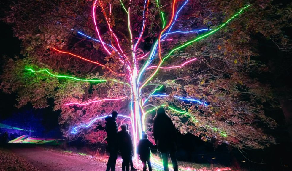 Family admiring Neon Tree at Christmas at Killerton. Photo by Richard Haughton.