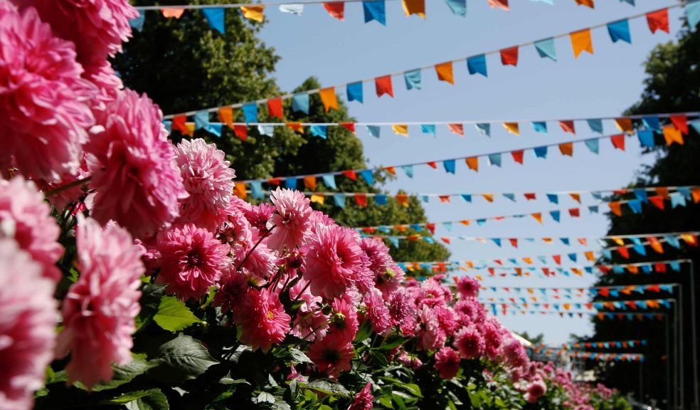RHS Rosemoor Garden Festival Beautifully arranged flowers form an avenue with colourful bunting above