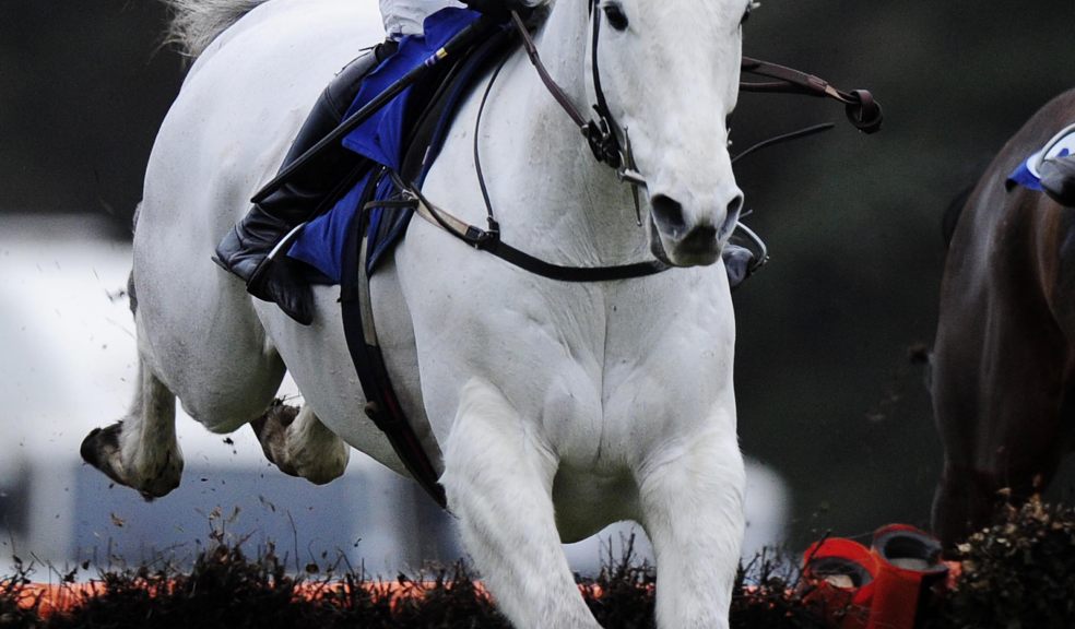 In action at Exeter Racecourse