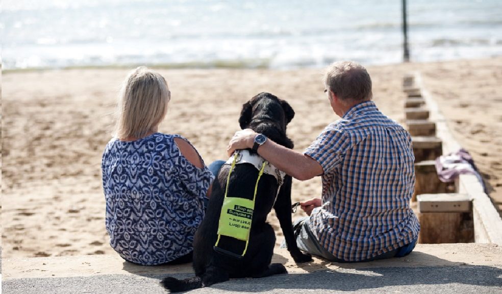 A guide dog sits on the beach in between two people. He has a yellow and white harness on.