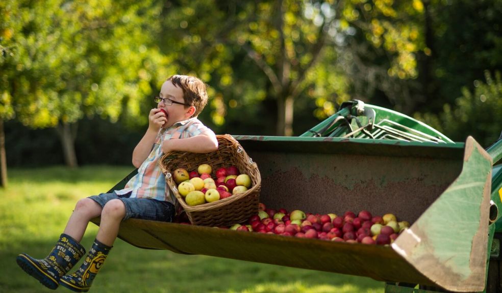 Image: National Trust/