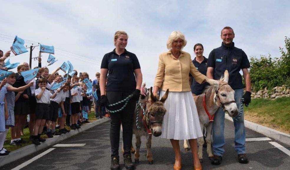 HRH Duchess of Cornwall meets donkeys called William and Harr.  Photo: The Donkey Sanctuary 