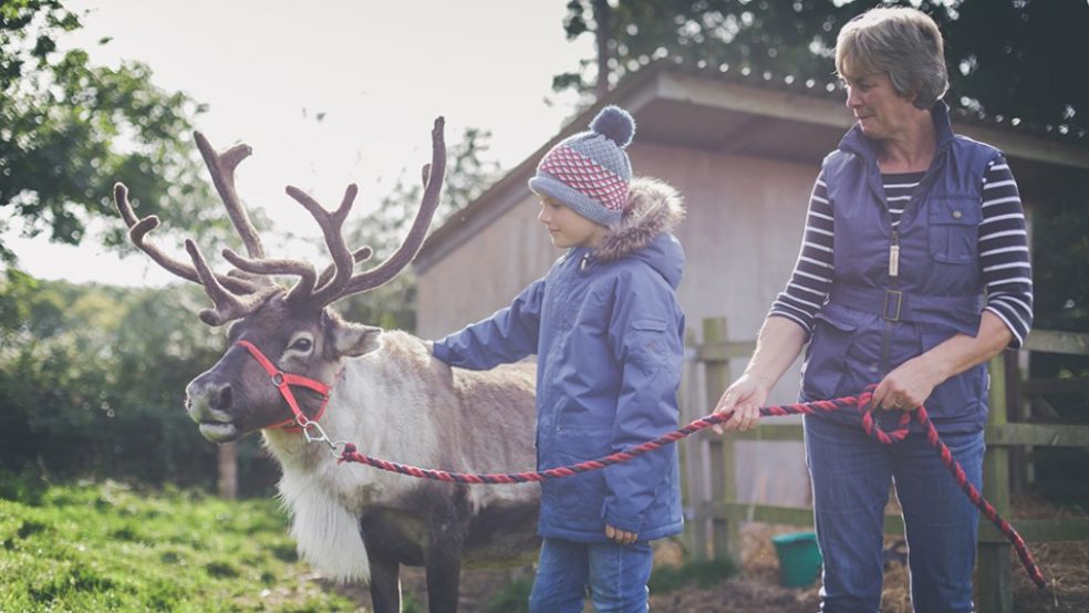 Helen Bowker with Cotely Christmas Reindeer