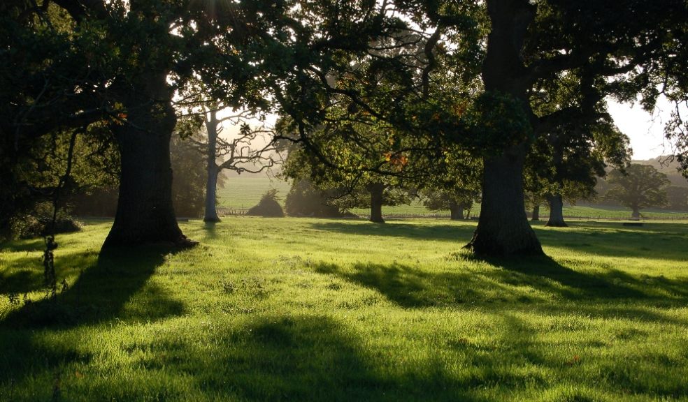 Poltimore Park (c) Simon Bates
