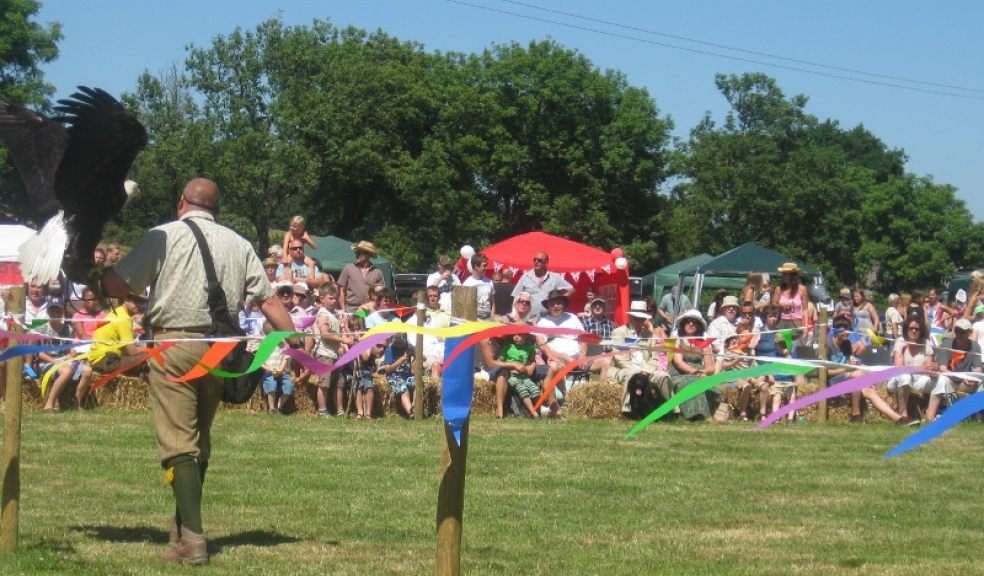 The Summer Show