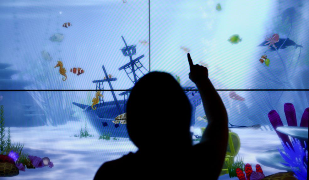 Draw on the walls at Living Coasts