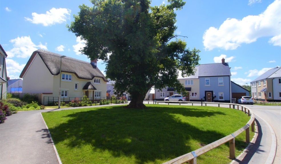 Ladywell Meadows, Chulmleigh