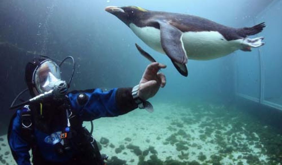 Living Coasts