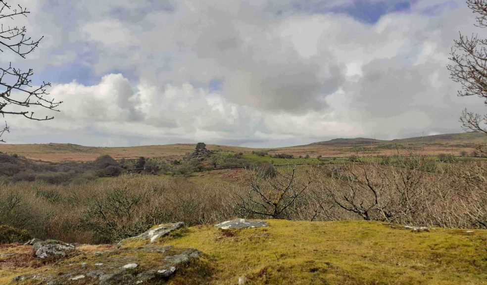 Vixen Tor, Dartmoor