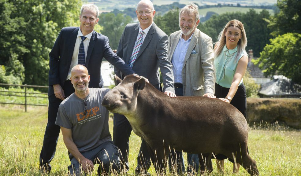 Mark Pellow (Chairman of Exeter Chamber), Benjamin Mee (CEO of Dartmoor Zoo), Adrian Hills (Kirk Hills Chartered Accountants), Derek Phillips (Vice President of Exeter Chamber), Jackie Baker (Global Media & Entertainment) with Chana the Brazilian Tapir