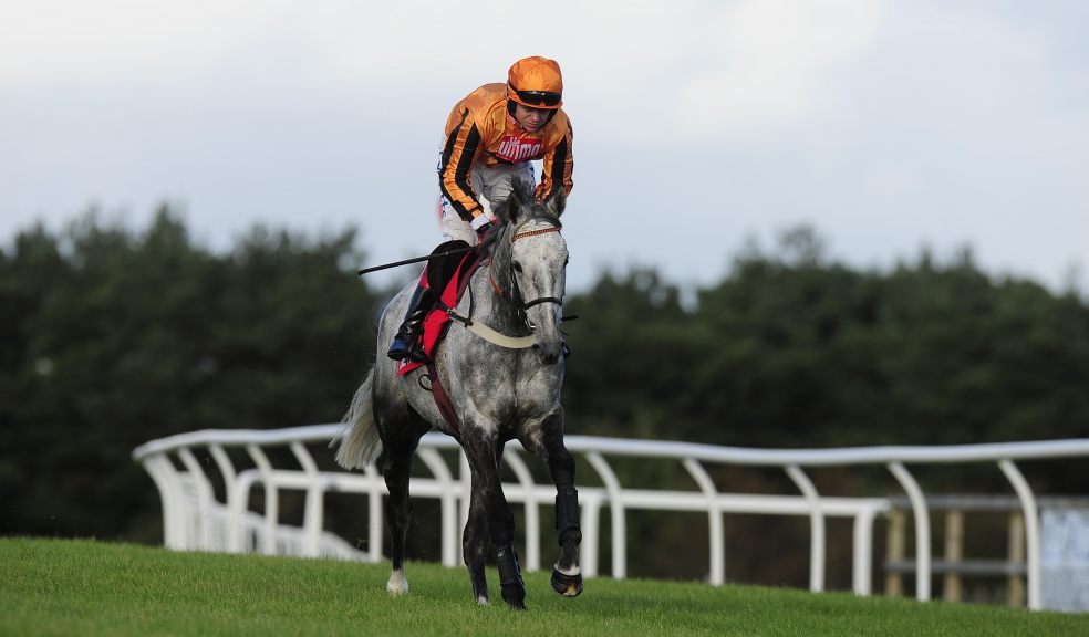 Former winner Medermit