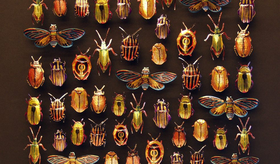 Golden Beetles