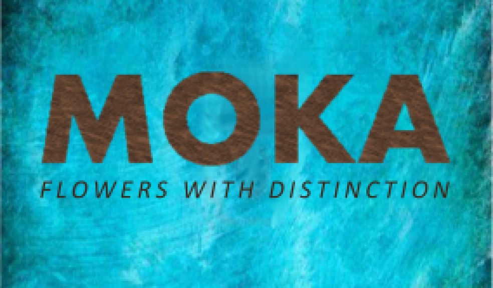 Moka - The new florist to open in Princesshay