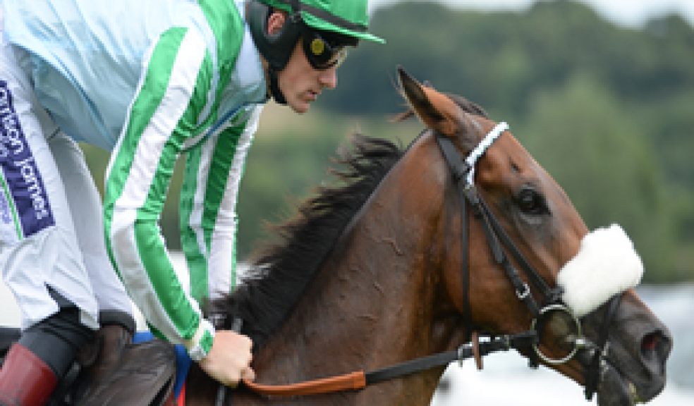 Newton Abbot Racecourse
