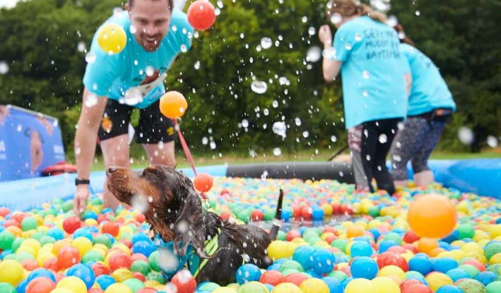 Exeter Muddy Dog Challenge. Photo: Battersea Dogs & Cats Home