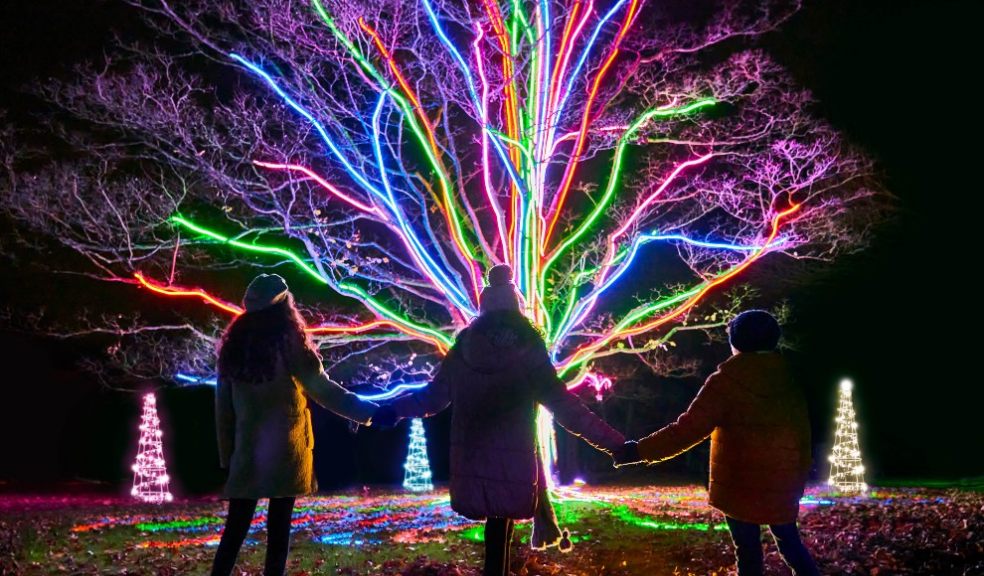 Neon tree by Culture Creative mychristmastrails 2020 photo by Richard Haughton Sony Music
