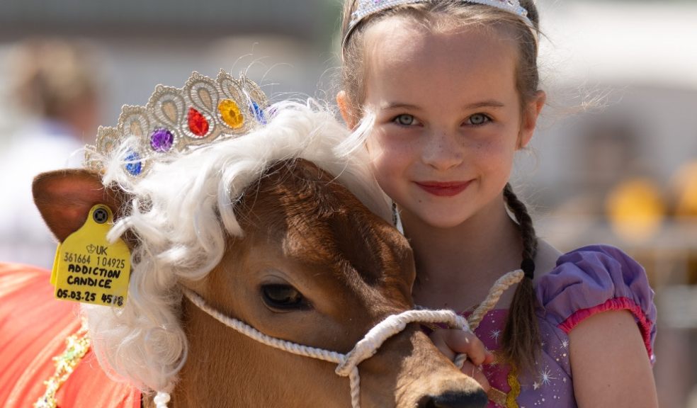 Fancy Dress Cattle Class at Devon County Show 2025.