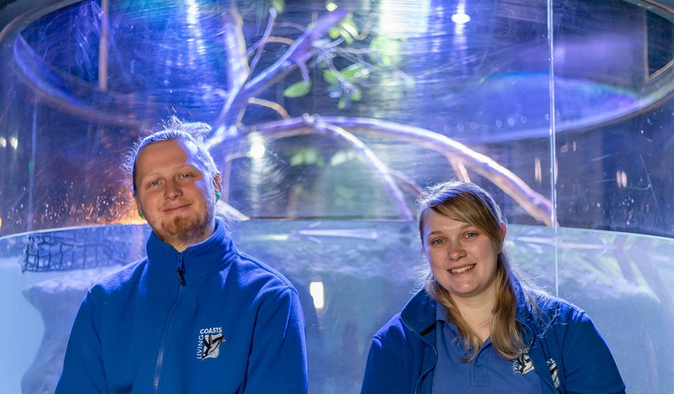 New aquarium lighting at Living Coasts