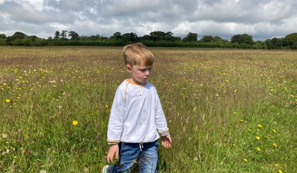 A blonde boy in a meadow