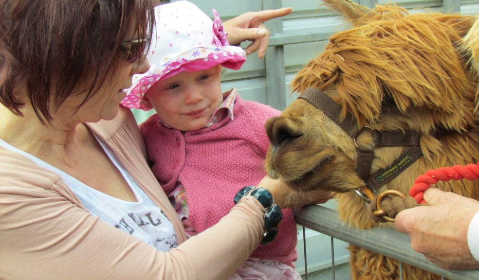 Live music, Devon's finest food, crafts and activities at the Bicton Country Fair