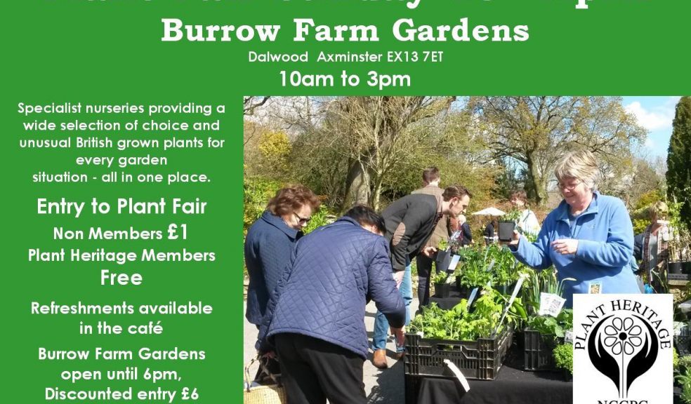 Plant Fair