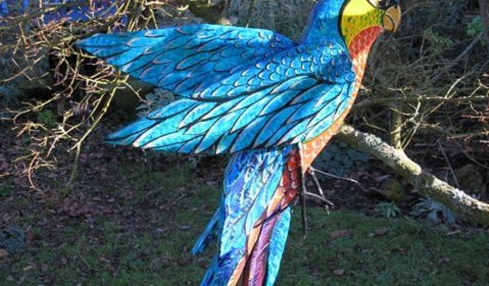 Parrot by Ardyn Griffin