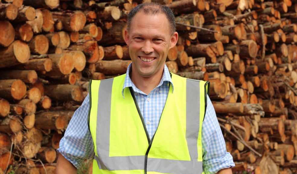 Peter Solly, Forest Fuels MD