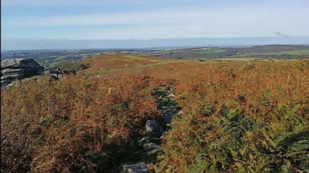 Photo courtesy of Dartmoor National Park Authority